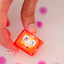 Glo Pals Sammy Pal - Sensorische leuchtende Würfel