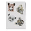 nuukk - Reflektierende Sticker "Wilde Tiere"